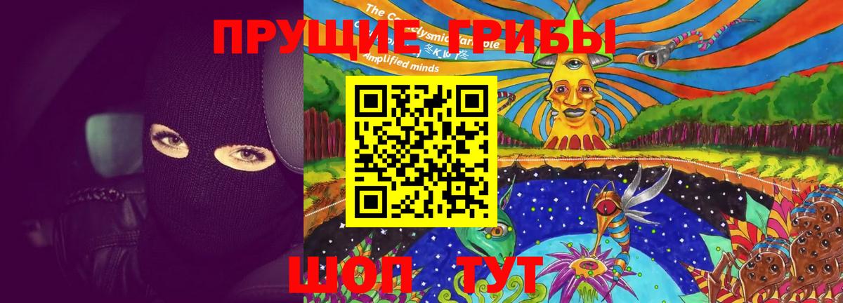 Тара  Галлюциногенные грибы Cubensis  Вход с VPN 